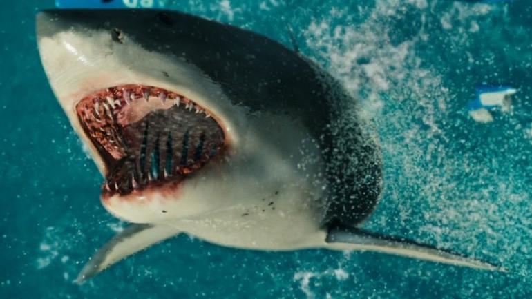 K&eacute;p forr&aacute;sa: https://mubi.com/