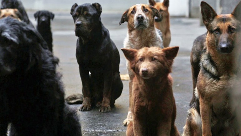 K&eacute;p forr&aacute;sa: http://baratsagmozi.hu