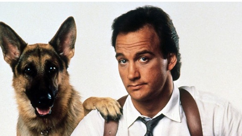 K&eacute;p forr&aacute;sa: dogzilla.hu