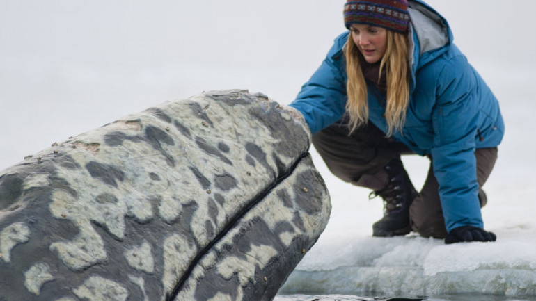 K&eacute;p forr&aacute;sa: www.port.hu