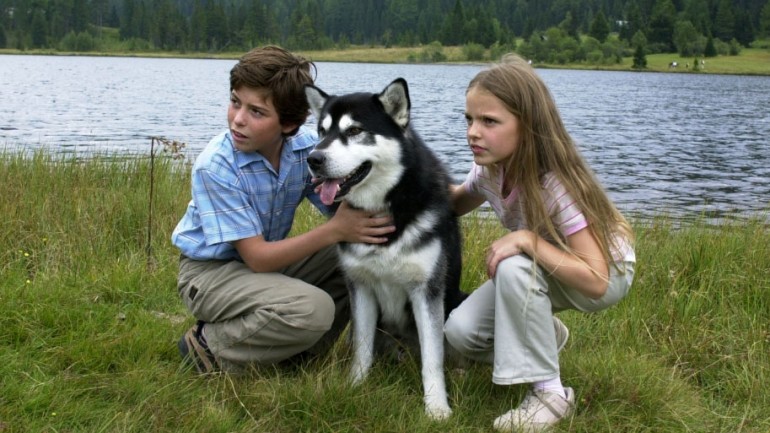   K&eacute;p forr&aacute;sa: https://port.hu/