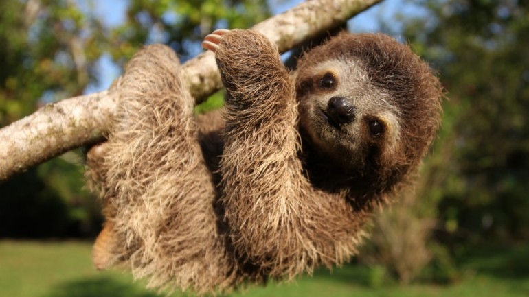 K&eacute;p forr&aacute;sa: http://www.pbs.org/