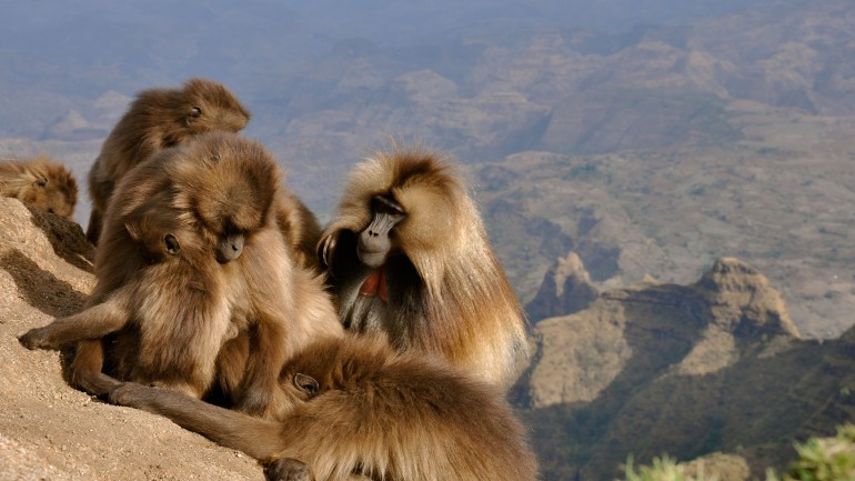  k&eacute;p forr&aacute;sa: hwww.natgeotv.com/hu