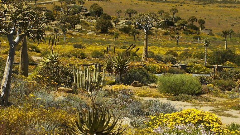 K&eacute;p forr&aacute;sa: http://programm.ard.de/