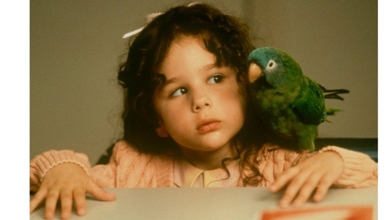 K&eacute;p forr&aacute;sa: http://www.paramountchannel.it/