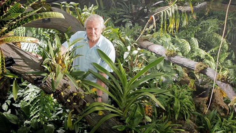 (k&eacute;p forr&aacute;sa: www.radiotimes.com/)