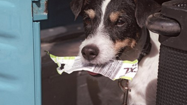 K&eacute;p forr&aacute;sa: https://www.kino.de/