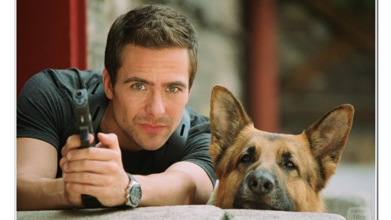 K&eacute;p forr&aacute;sa: http://tv.animare.hu/